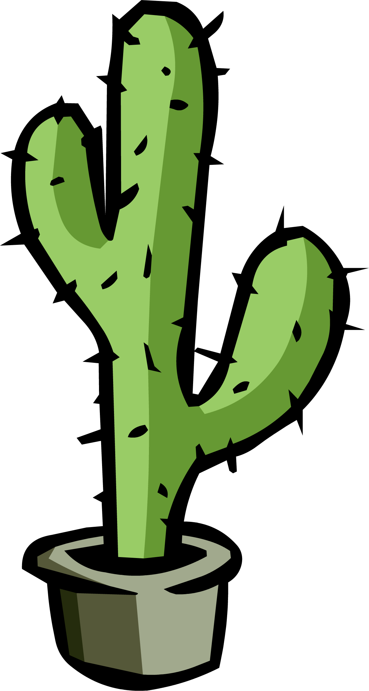 Cactus Png (1204x2255)