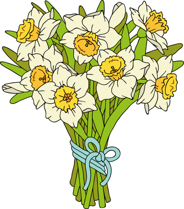 Pictures Of Daffodils - Daffodils Clipart Png Transparent (640x727)