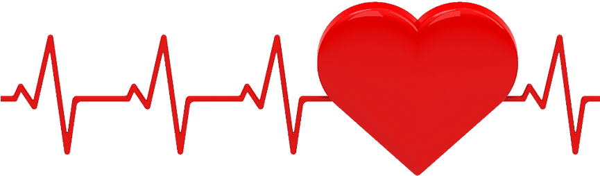 There Has Also Been A Lot Of Very Interesting New Research - There Has Also Been A Lot Of Very Interesting New Research (864x354)