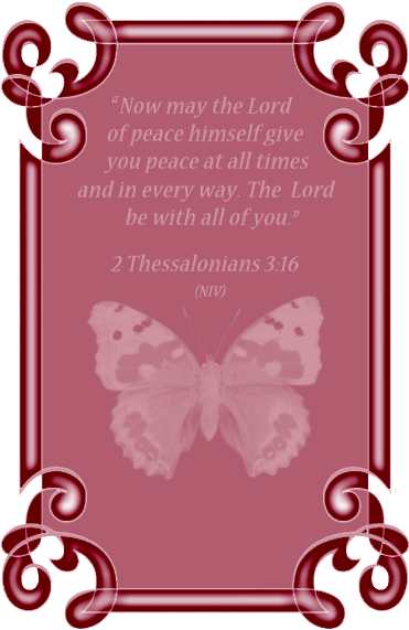 This Frame Features A Pink Butterfly - Clip Art (419x620)