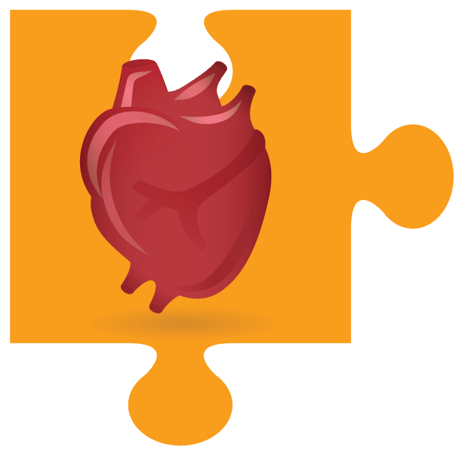Cardiovascular System - Cardiovascular System (780x738)