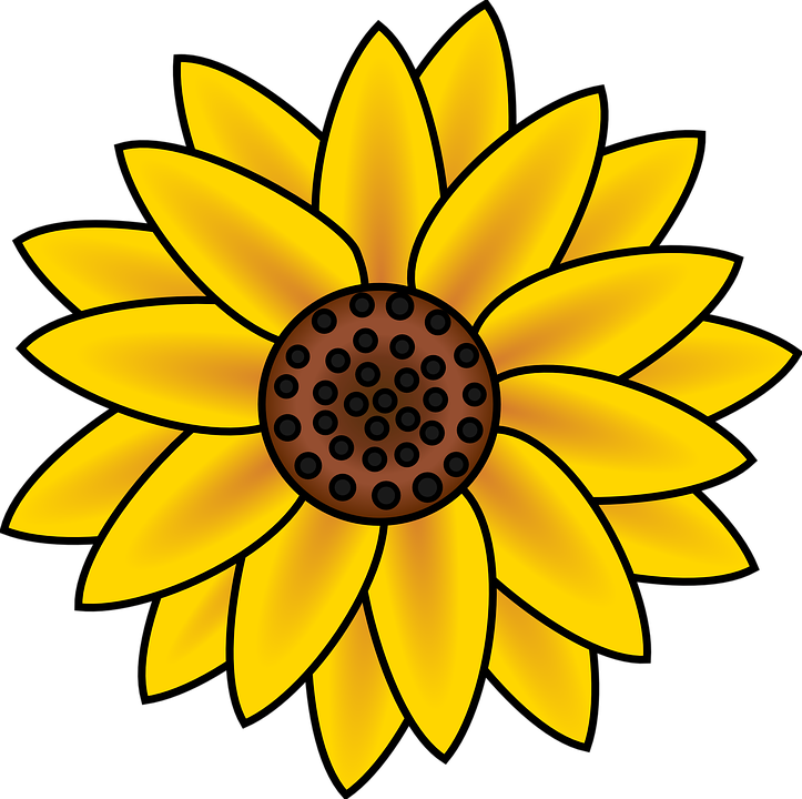 Fall Sunflower Cliparts Free Download Clip Art Flower - Sunflower Clipart Transparent Background (723x720)