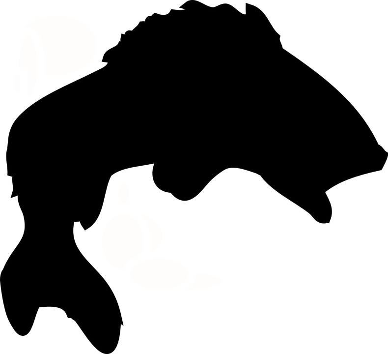 Fish, Silhouette - - Bass Silhouette Clipart (1280x1166)