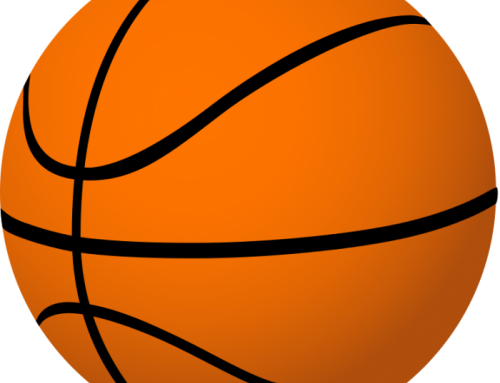 Basketball Senior & Future Crusader Nights - Vector Image Of Basket Ball (500x383)