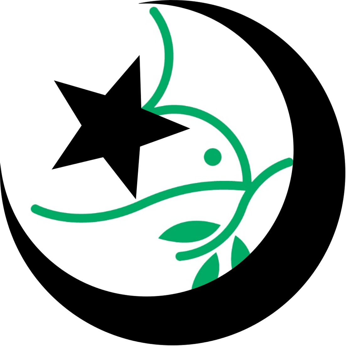 Mennonites, Muslims And A Bad Internet Joke - Star And Crescent Icon (1102x1102)