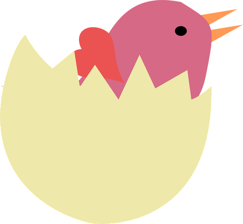 Egg Clipart Heart - Bird Egg Clipart (781x720)