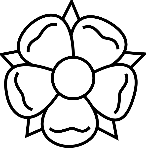 Flowers That You Can Draw (588x596)