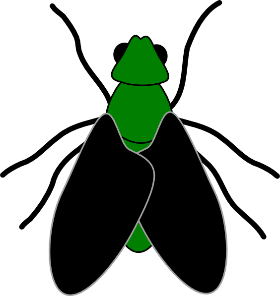 Green Fly Black Clip Art At Clker Com Vector Clip Art - Fly Clipart No Background (564x597)