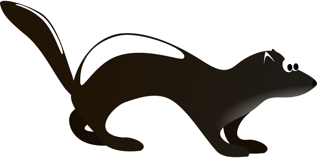 Clipart Info - Polecat Png (1280x640)