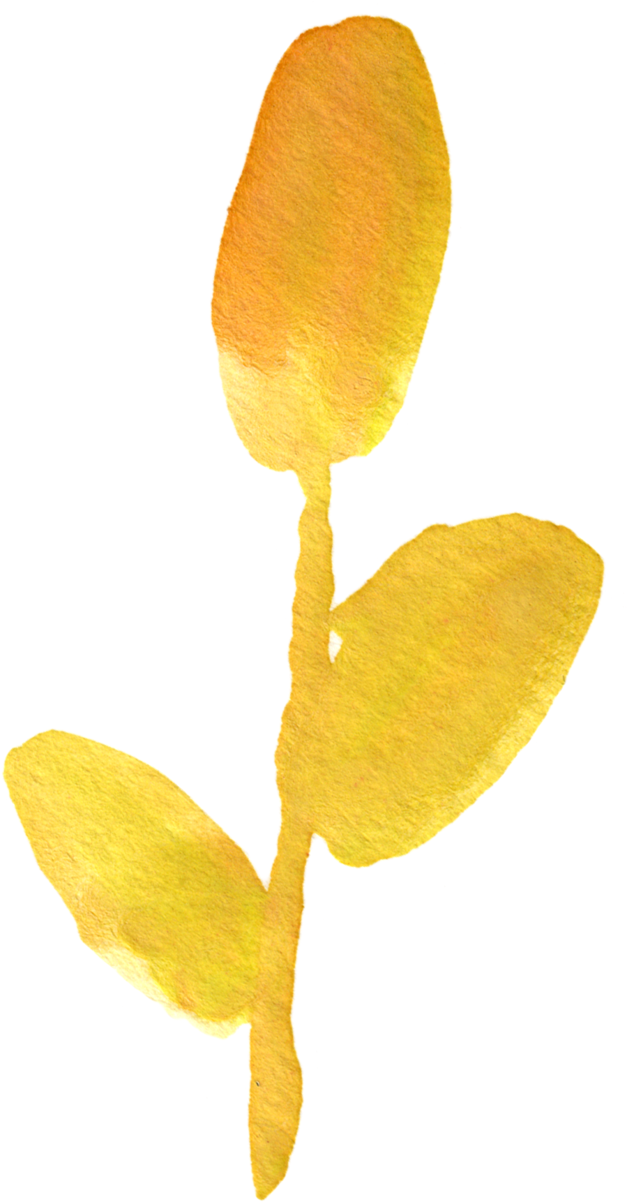 1 - Watercolor Yellow Flower Png Free (1014x1830)