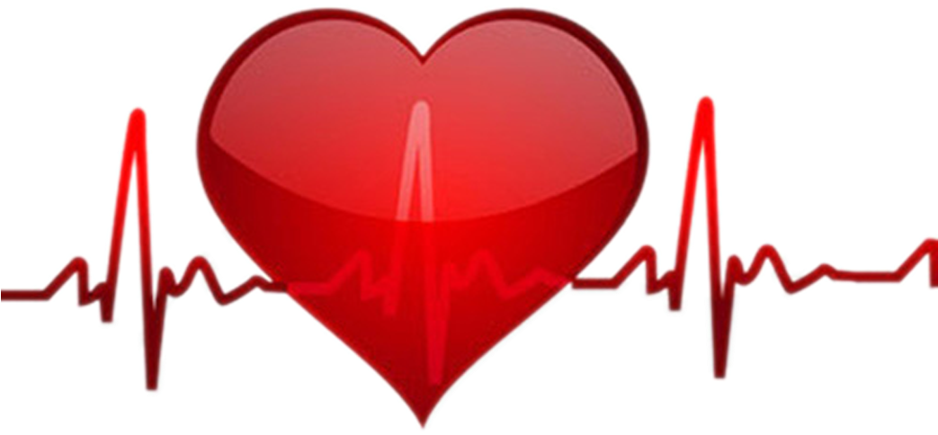 Heart Rate Pulse Clip Art - Bolton Icd Support Group (1042x702)