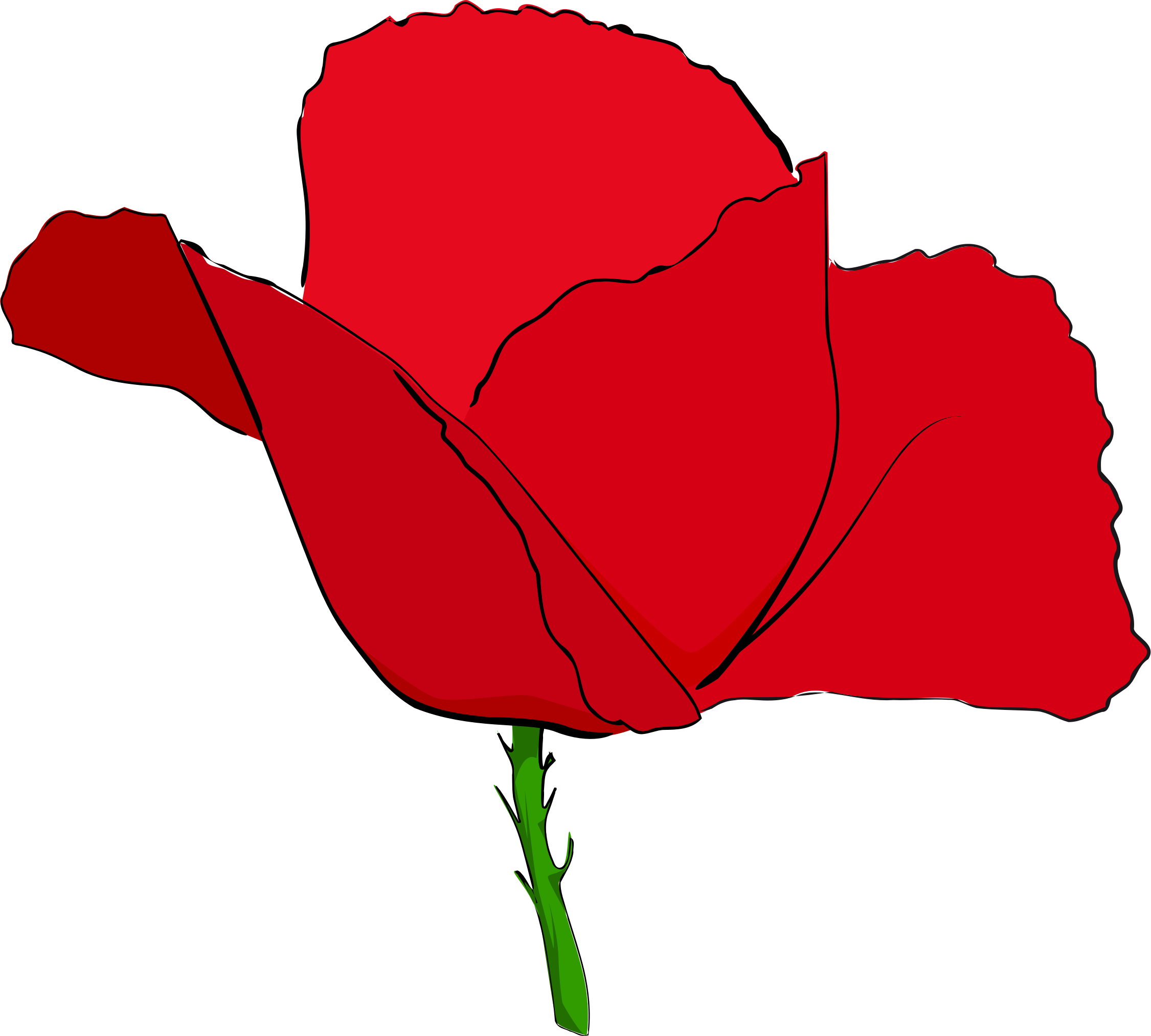 Download - Red Image Of Poppy Flower (2251x2027)
