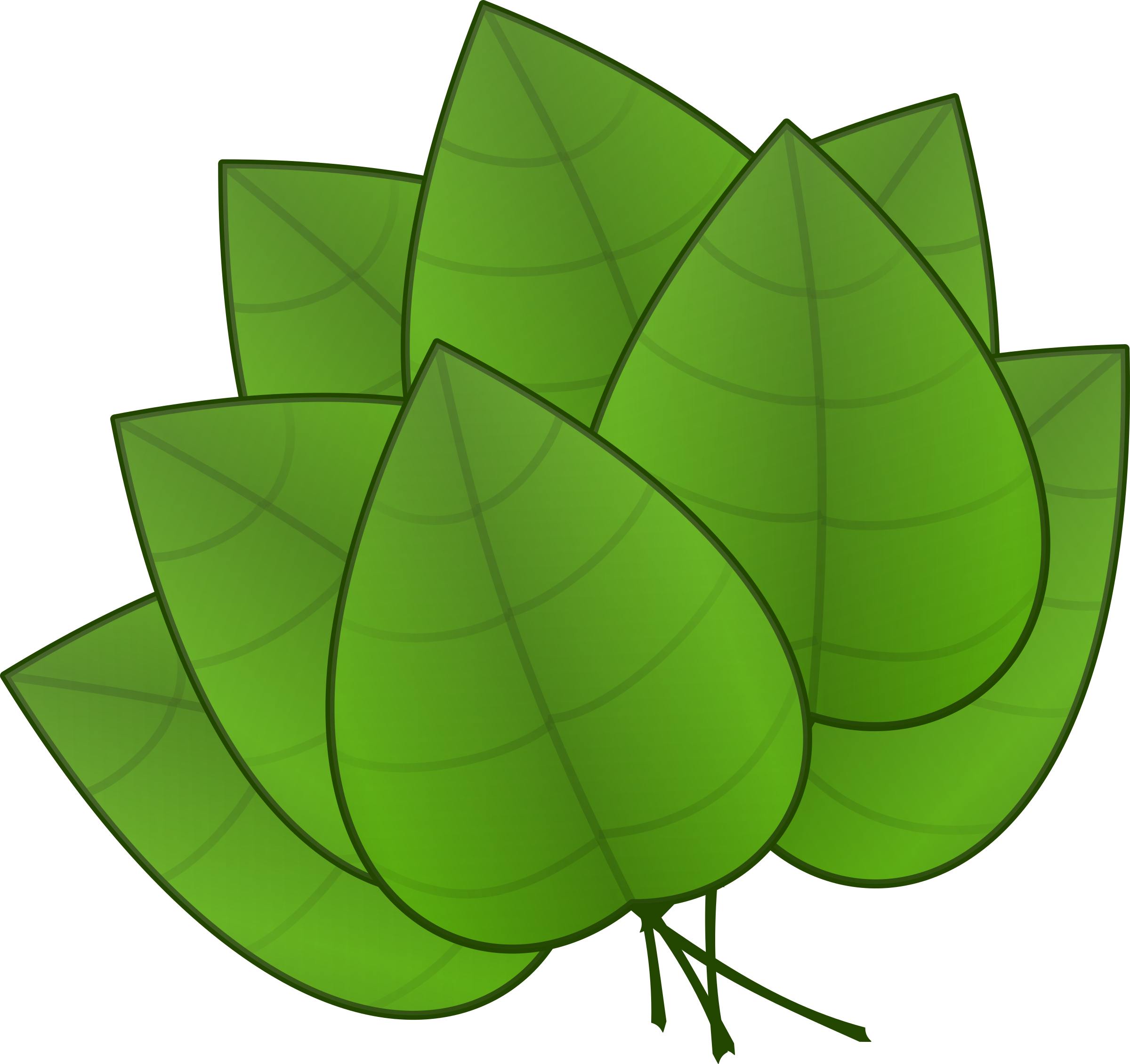 Free Leaves - Parts Of The Plant Leaves (2400x2260)