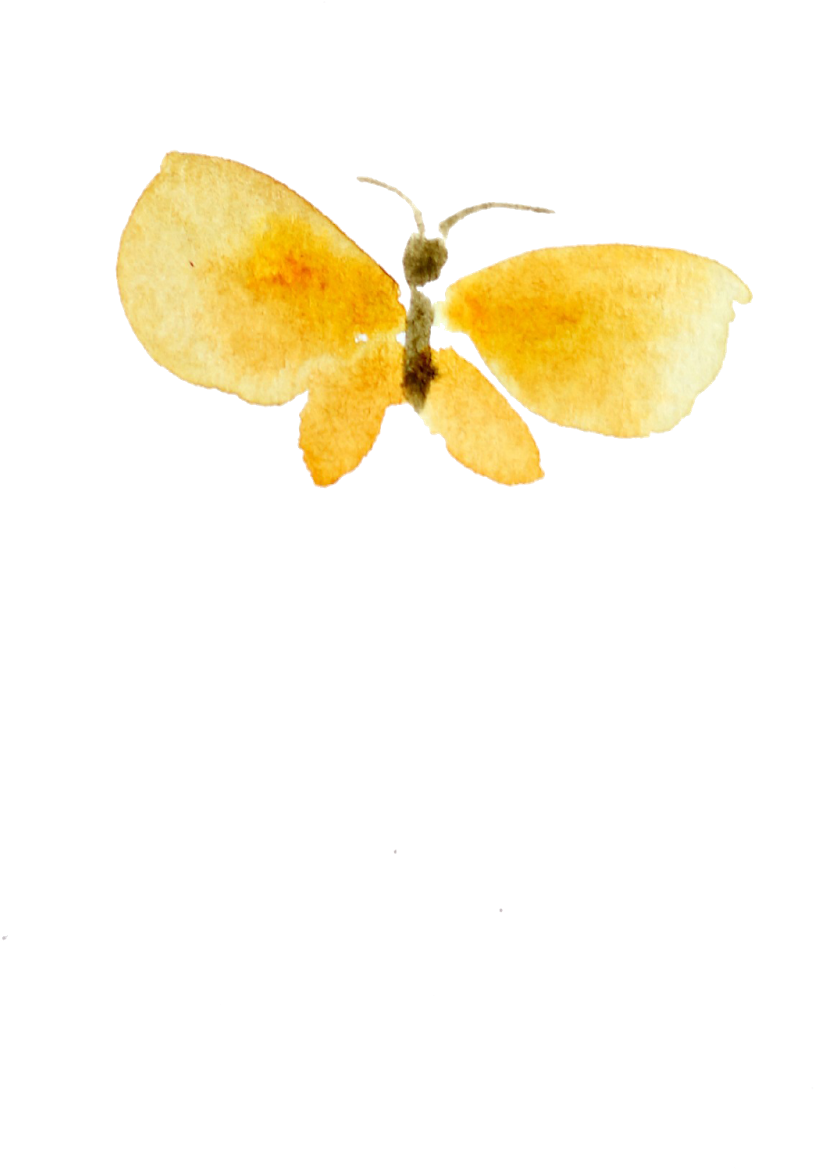 The Small Print - Gonepteryx Rhamni (1066x1600)