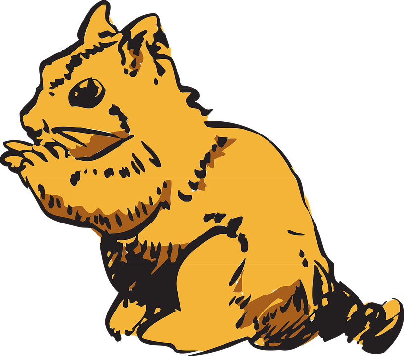 Fur Chipmunk, Art, Forest, Eating, Animal, Fur - Clip Art (817x720)