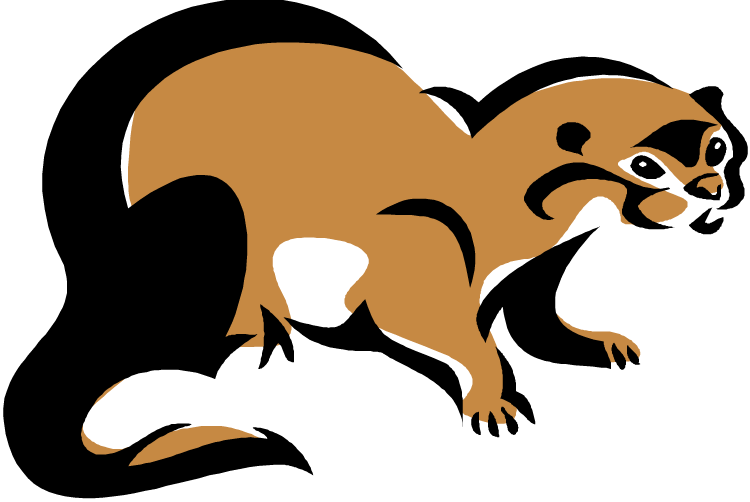Otter Clip Art - Otter Clip Art (750x502)