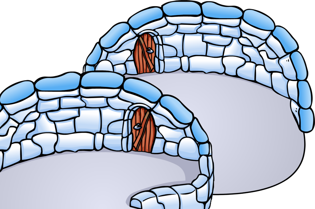 Igloo Pictures - Club Penguin Double Igloo (1024x679)