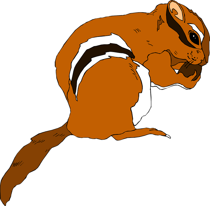 Fur Food, Color, Art, Nut, Eating, Animal, Tail, Fur - Chipmunk Clip Art (958x936)