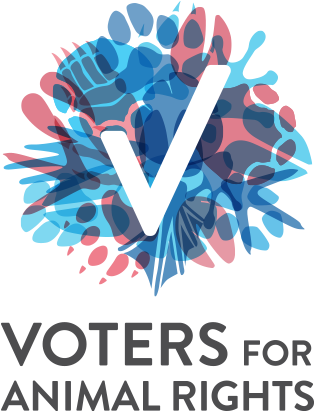 Vfar Logo Final Vertical - Portable Network Graphics (375x450)