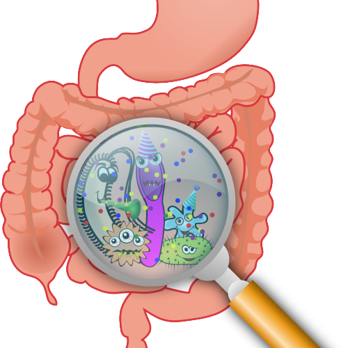Microbiome - Essential Handbook To A Healthy Gut (500x500)