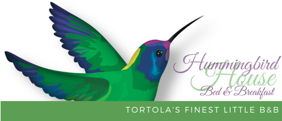 Hummingbird House Logo - Hummingbird Tattoos (560x315)
