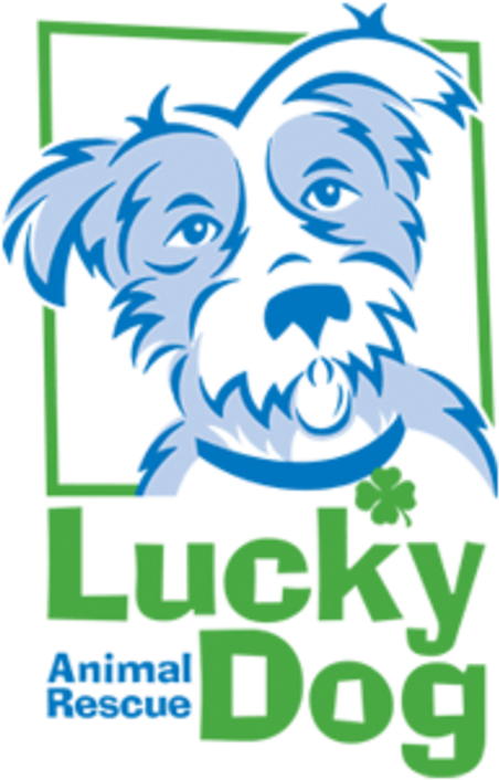 Lucky Dog Animal Rescue - Lucky Dog Animal Rescue (528x767)