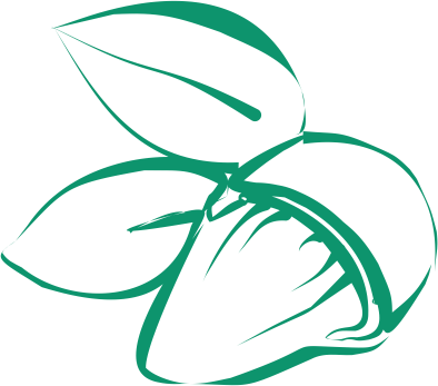 It Regulates Cell Renewal, Improves Skin Structure - It Regulates Cell Renewal, Improves Skin Structure (394x347)