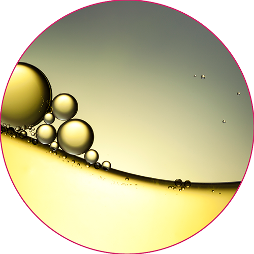 Transcutol-icon - New Zealand Master Tax Guide (2013 Edition) (500x500)