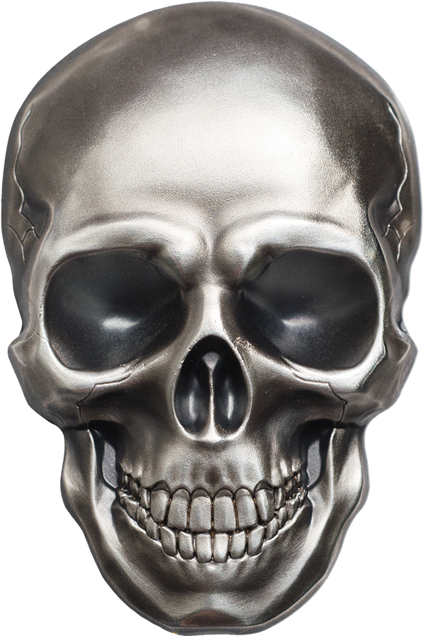 Art - No - - Silver Skull (898x898)