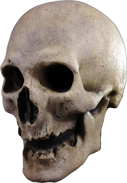 Skull - Trick Or Treat Studios Antique Skull (436x639)