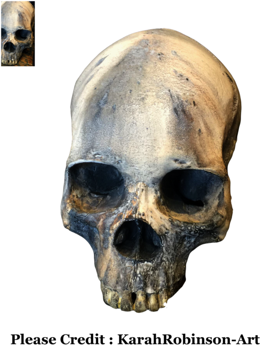 Skull Png Stock By Karahrobinson-art - Skull (600x800)
