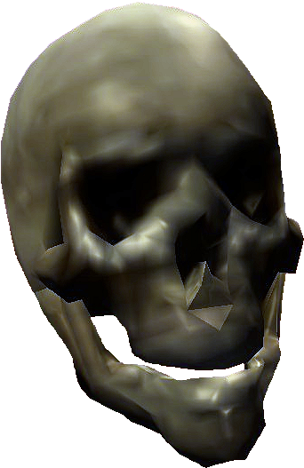 Skull Bones Png Transparent Image - Skull (545x579)