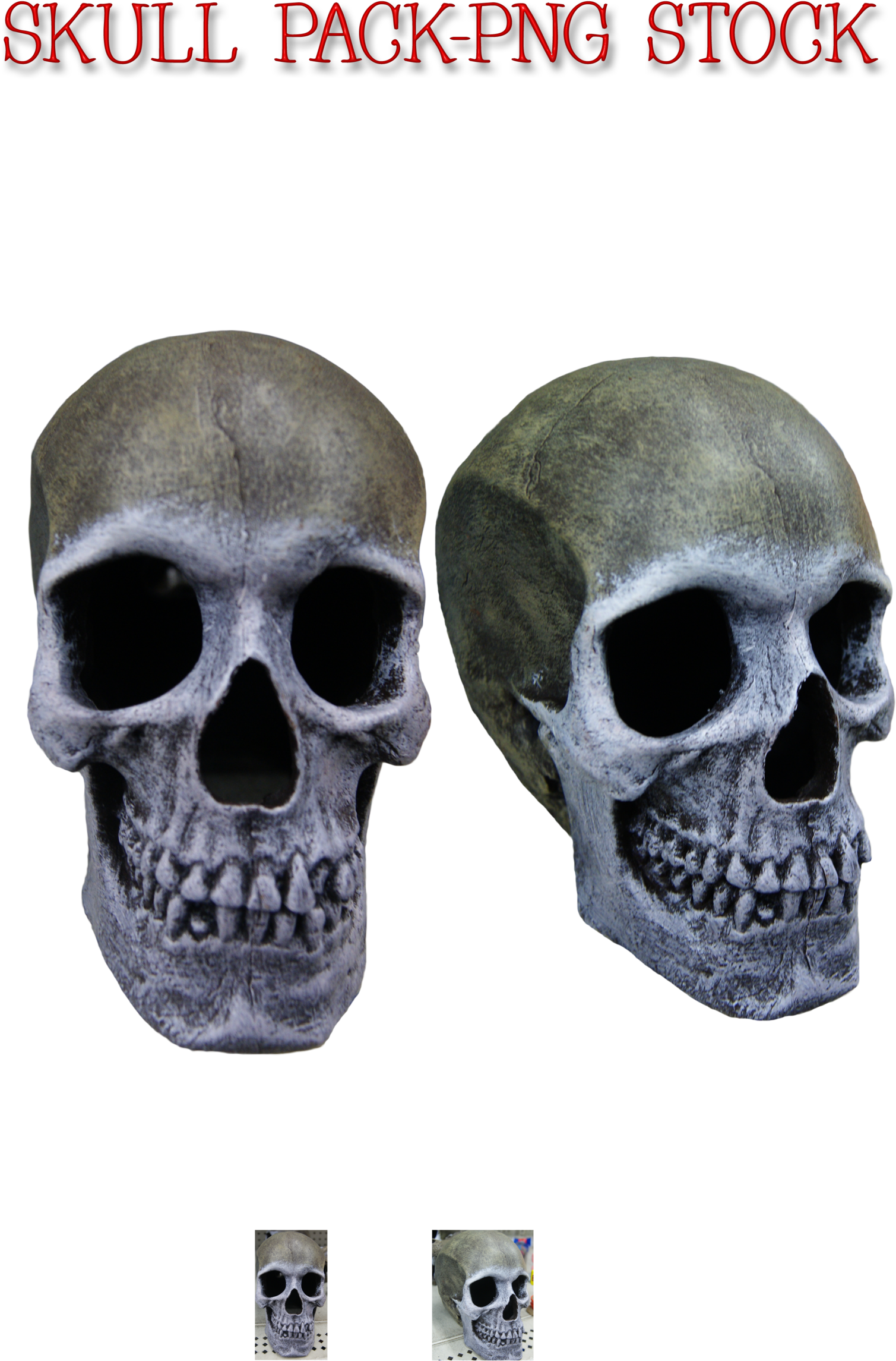 Skull Pack Png Stock By Karahrobinson Art - Art (1600x2390)