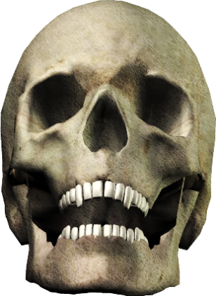 Skull-041 - Skull (308x422)