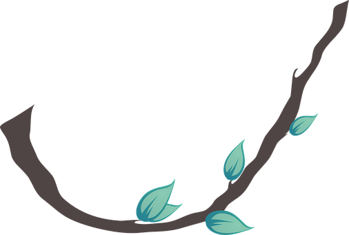 Liana Leafs Plant Nature Summer Tropical B - Liana Vector (506x340)