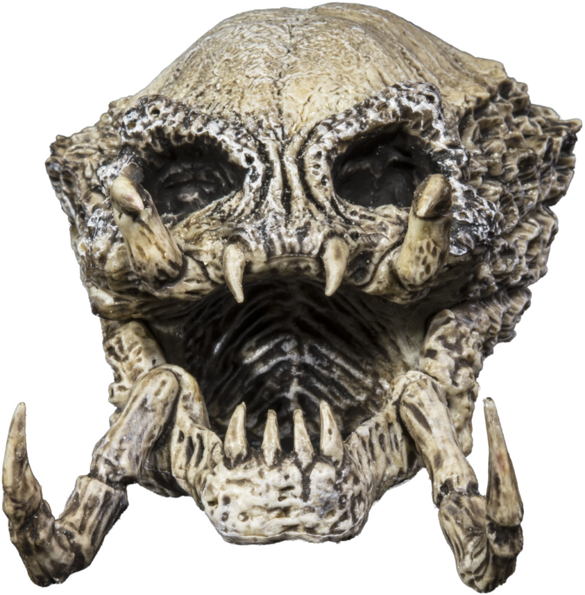Alien Skull By Juansixx1961 - Skull (881x907)