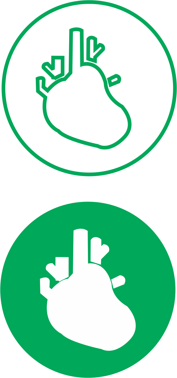 Cardiology - Cardiology (602x1284)