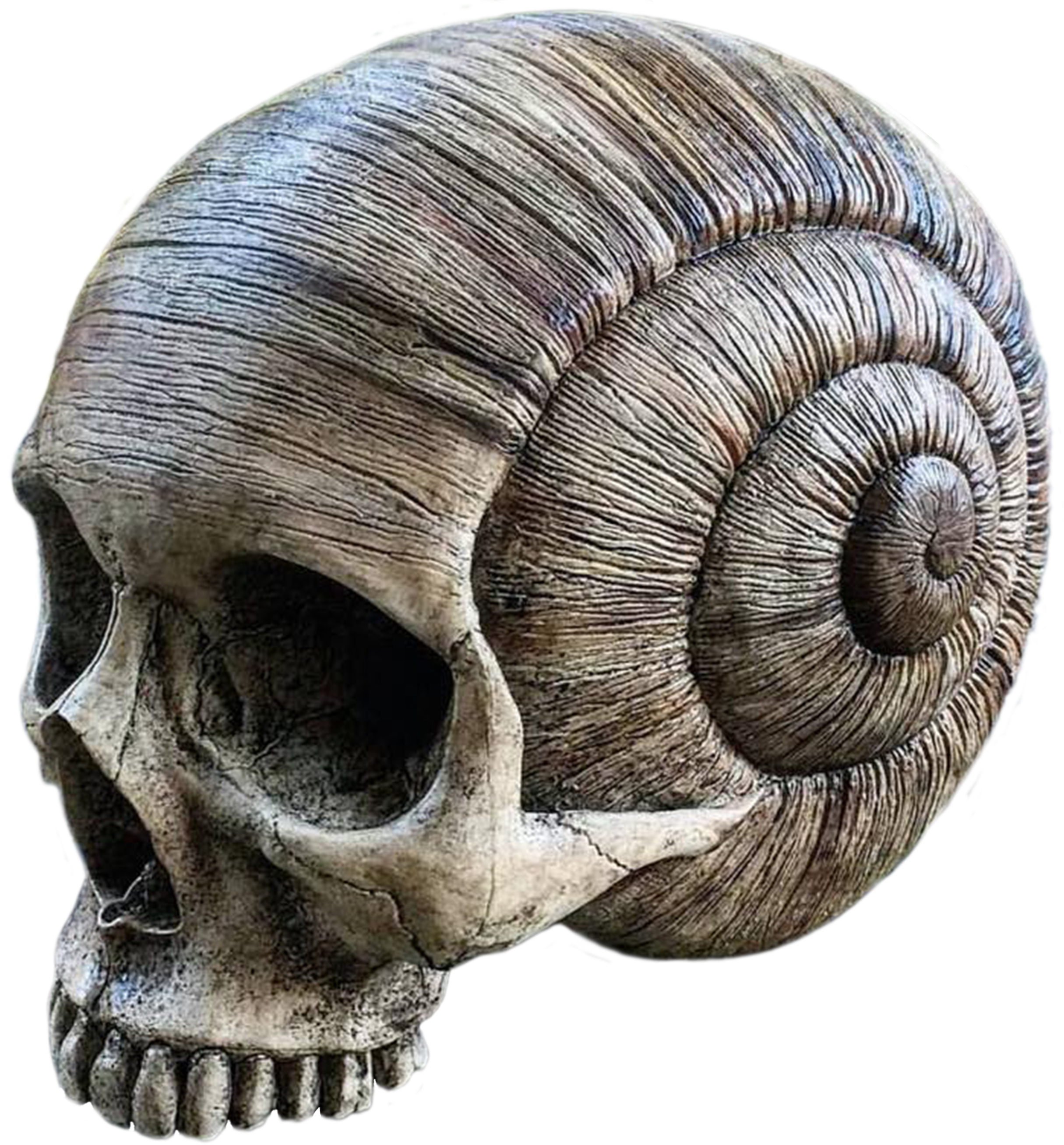 Explore The Skulls, Dark Art, And More - Willy B Lost At Sea (4288x2848)