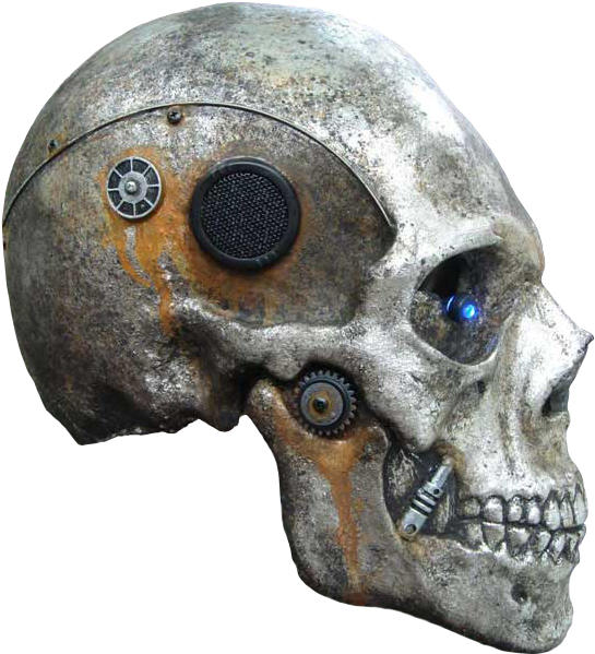 Skull By Ardydesignart - Skull (580x773)