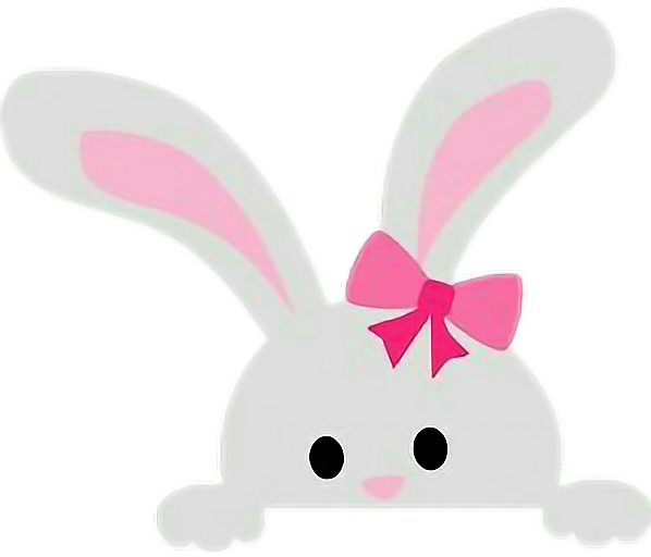 Bunny Peekaboo Cute Clipart Sweet Easter Pink Bow - Kawaii (598x512)
