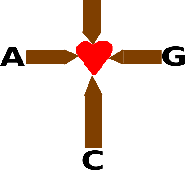 Grace 600*551 Transprent Png Free Download - Clip Art (600x551)