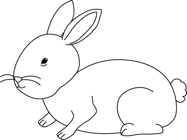 Black And White Bunny Rabbit - Black And White Bunny Rabbit (600x449)
