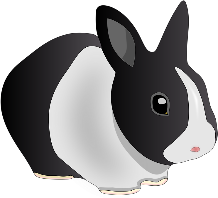 Bunny Clipart Black And White Chadholtz - Bunny Clipart No Background (958x678)
