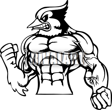 Blue Jay Clipart Head - Bluejay Head Clipart (361x353)