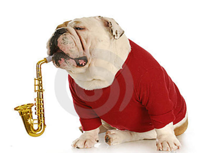 Charakter Und Aussehen - Its A Sax Thing - Rodrigo Vega - Download (698x524)