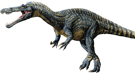 Beautiful Images Of Dinosaur Teeth Los Angeles Zoo - Dinosaur Suchomimus (472x278)