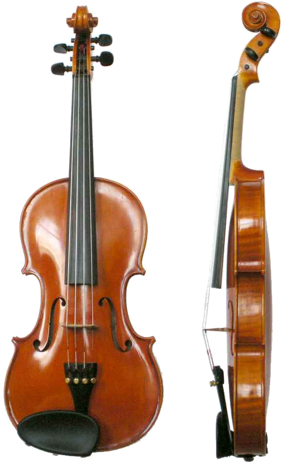 Violin Wikipedia Rh En Wikipedia Org Violin Anatomy - Facts About The Violin (700x951)