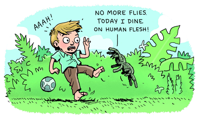 Pin Kid Writing Clip Art - Cartoon (800x474)