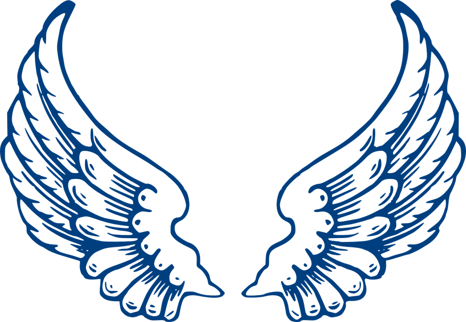 Angel Wings And Halo (960x664)