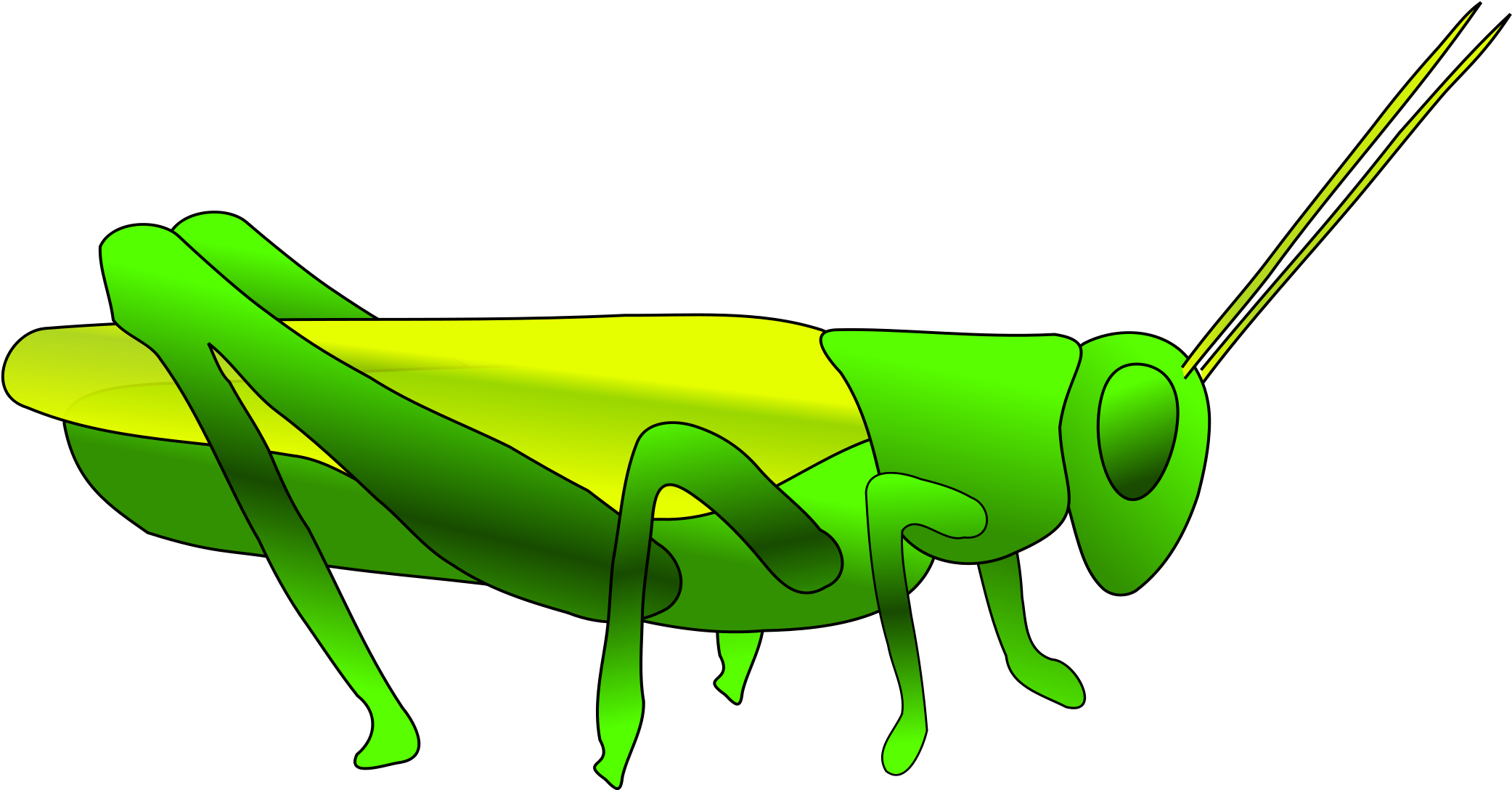 Grasshopper Clipart - Grasshopper Clip Art (2400x1680)